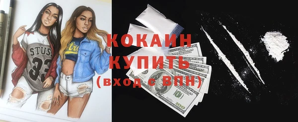 гашик Няндома