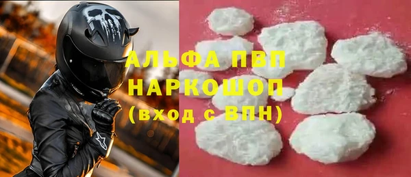 гашик Няндома