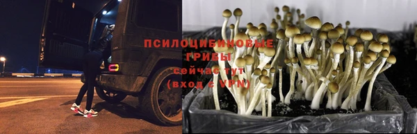 мдма Осташков