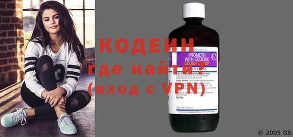гашик Няндома