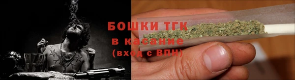 гашик Няндома