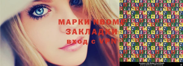 гашик Няндома