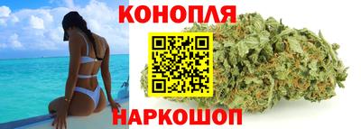 ECSTASY Будённовск