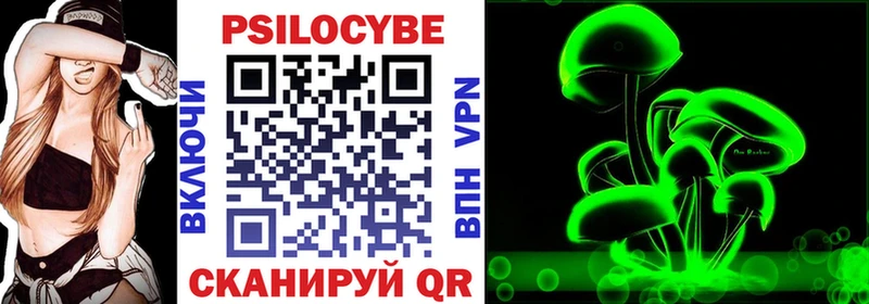 купить  сайты  Губкинский  Псилоцибиновые грибы GOLDEN TEACHER 