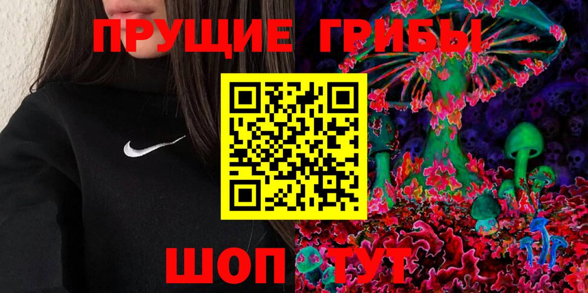 Галлюциногенные грибы Psilocybe Губкинский