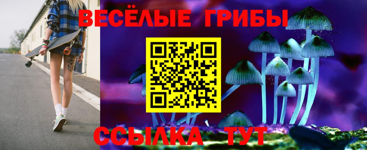 Губкинский  Псилоцибиновые грибы Psilocybine cubensis  Вход с VPN  Галлюциногенные грибы Psilocybe 